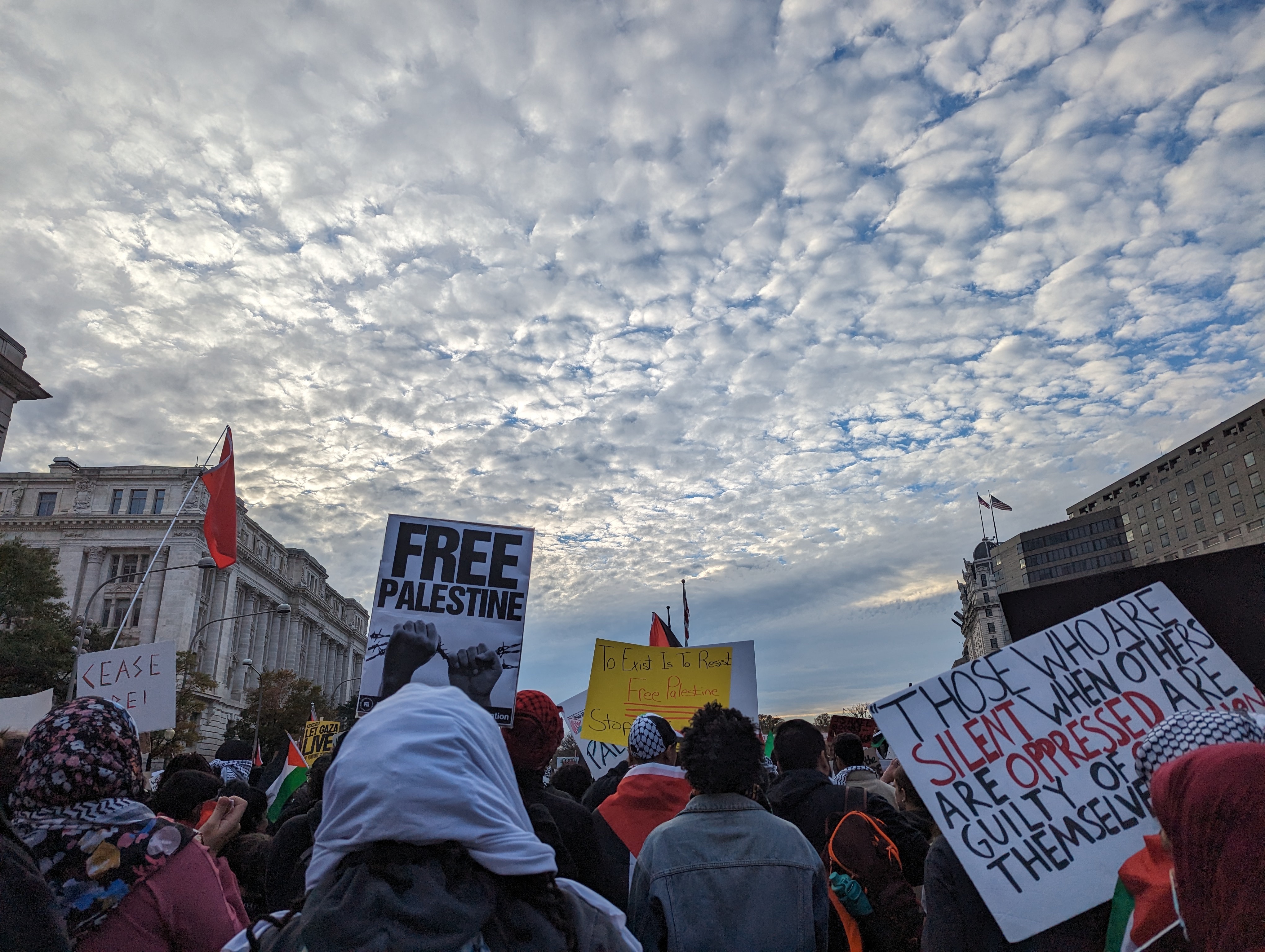 Palestine Rally