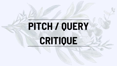 Pitch / Query Critique